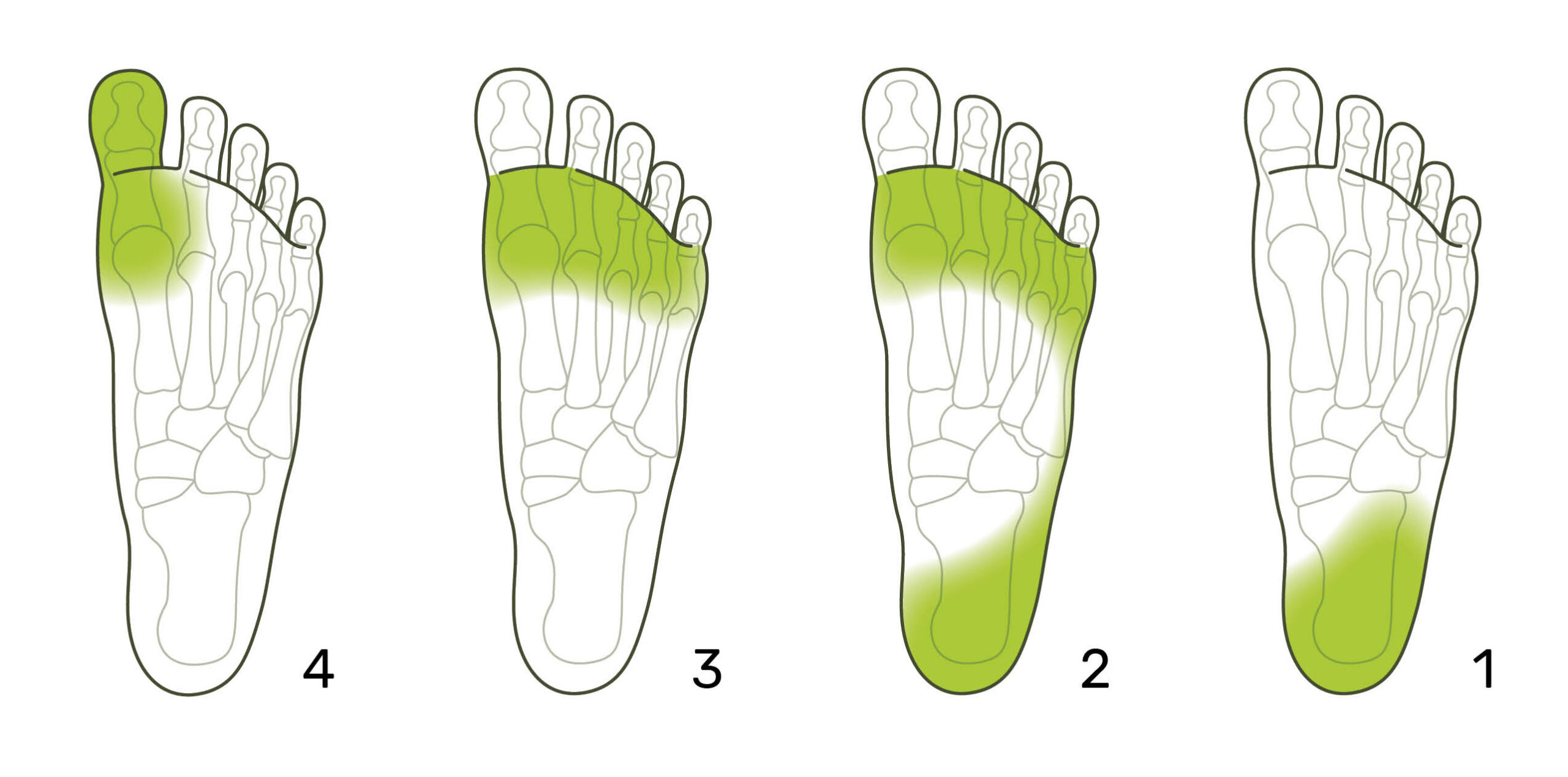 דפוס התנועה וההליכה הטבעית